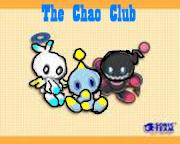 The Chao usually come as neutral, hero, or dark. Some Chao may become powerful enough to advance to chaos, destiny, liberty, angel, or devil.